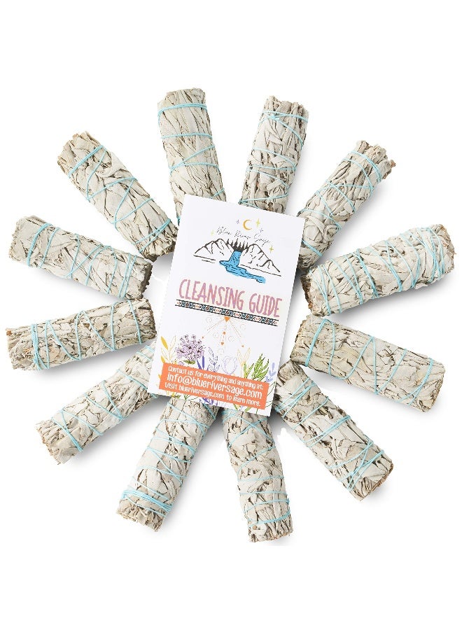 BLUE RIVER SAGE 12 Pack White Sage ~ Sage Smudge Sticks for Smudging & Cleansing Energy ~ Bulk/Wholesale ~ Sustainably Grown (12 Pack) - Image 2